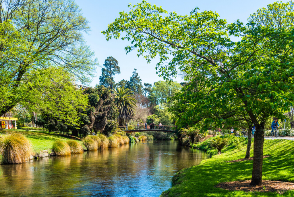 House Sitting in Christchurch